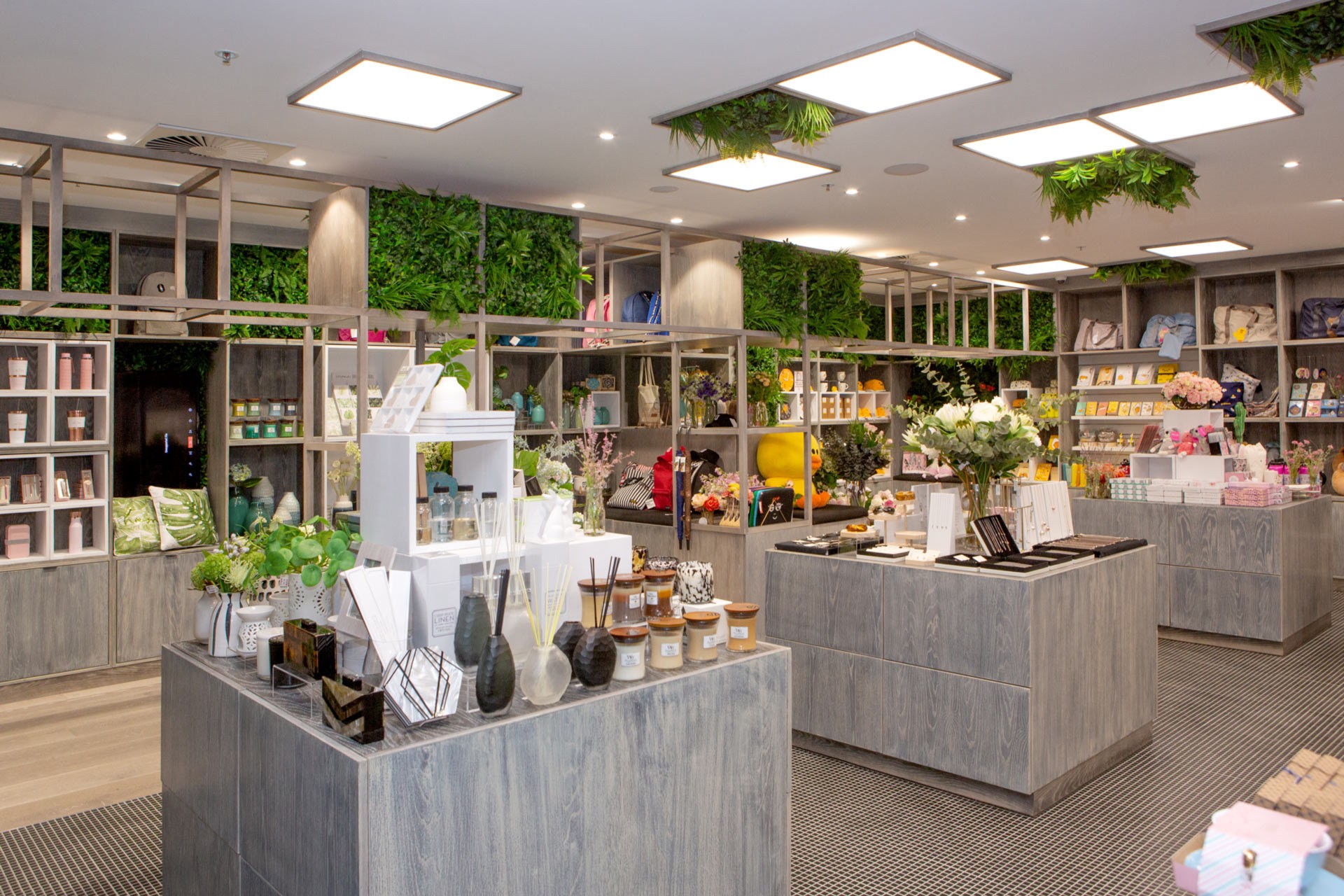 HALOTREE — Brand Identity and Retail Applications