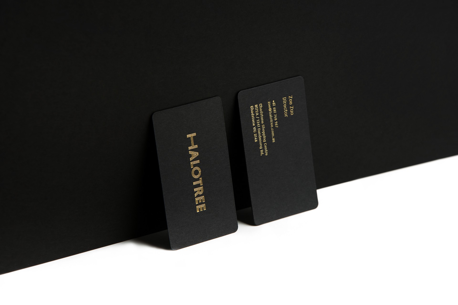 HALOTREE — Brand Identity and Retail Applications