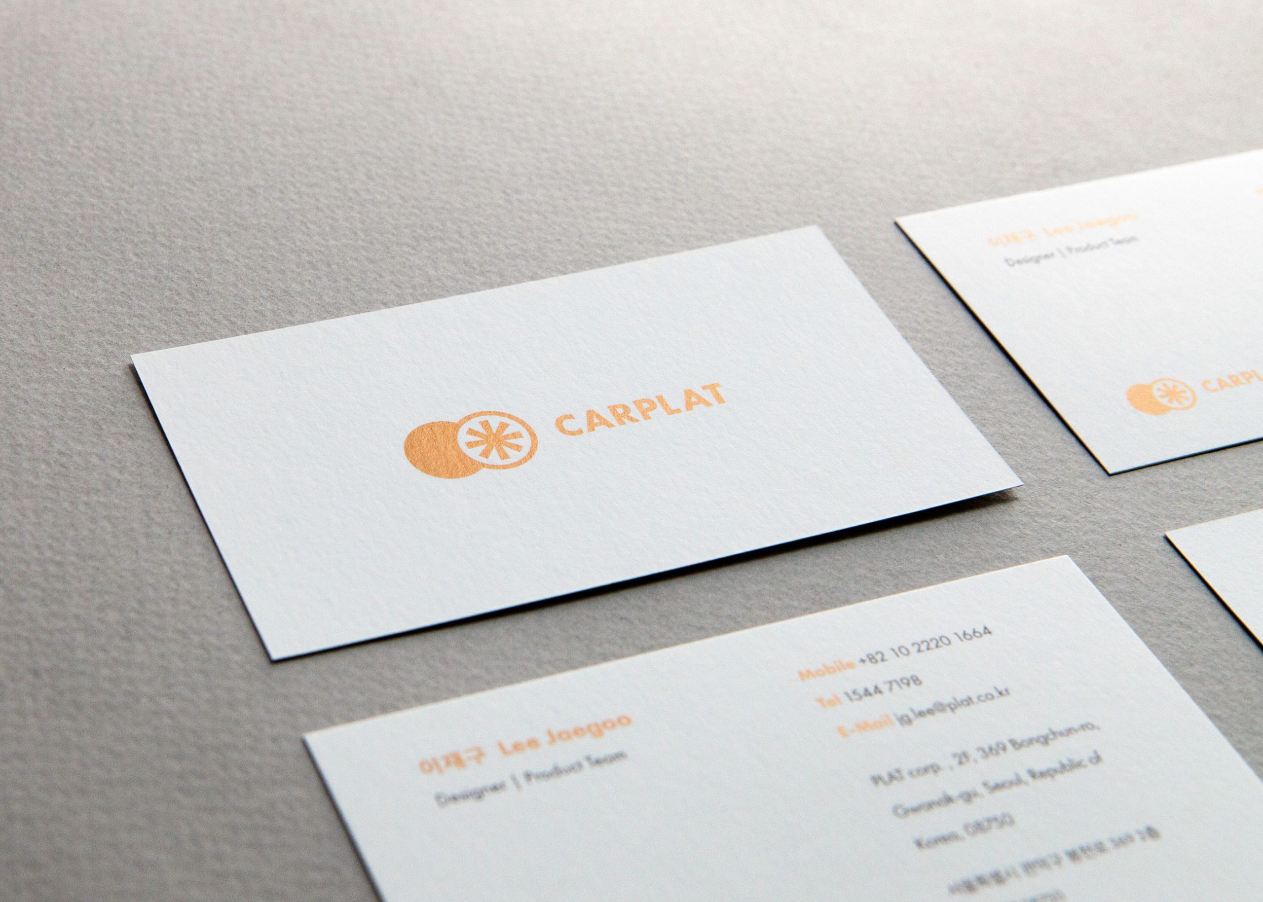 CARPLAT — Visual Identity System