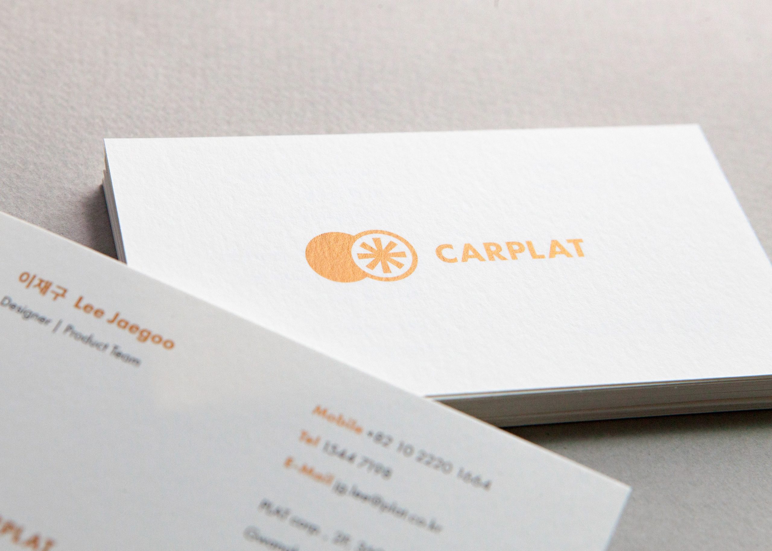 CARPLAT — Visual Identity System
