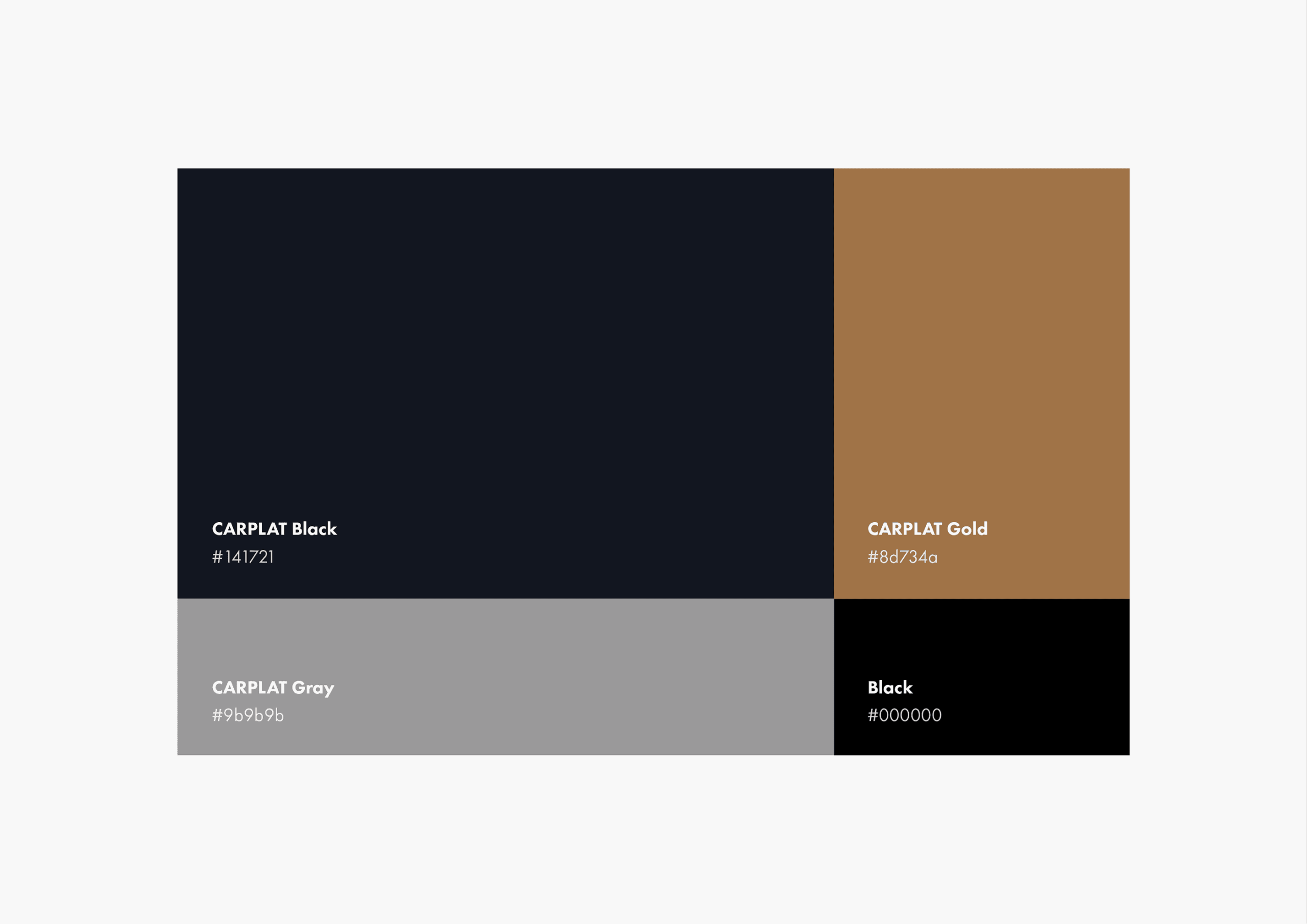 CARPLAT — Visual Identity System
