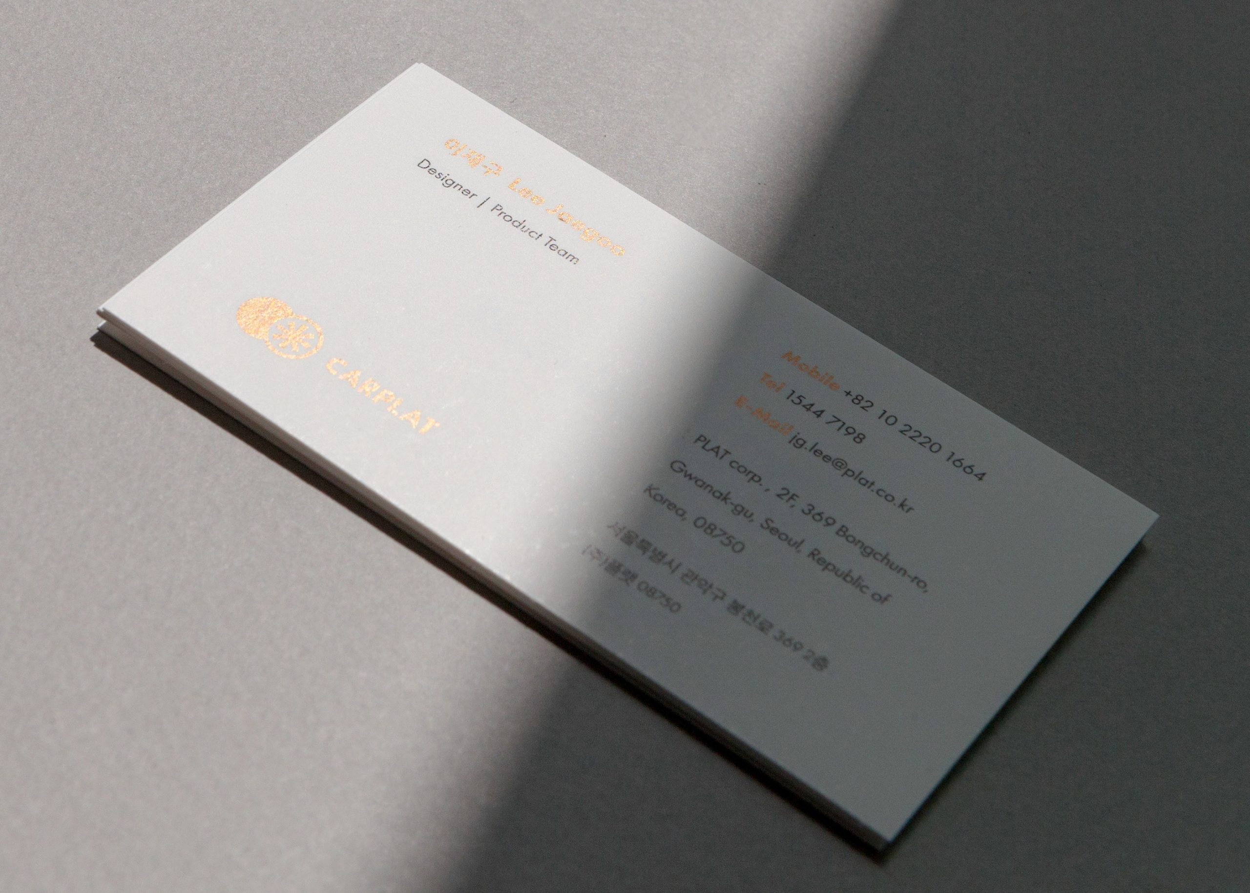 CARPLAT — Visual Identity System