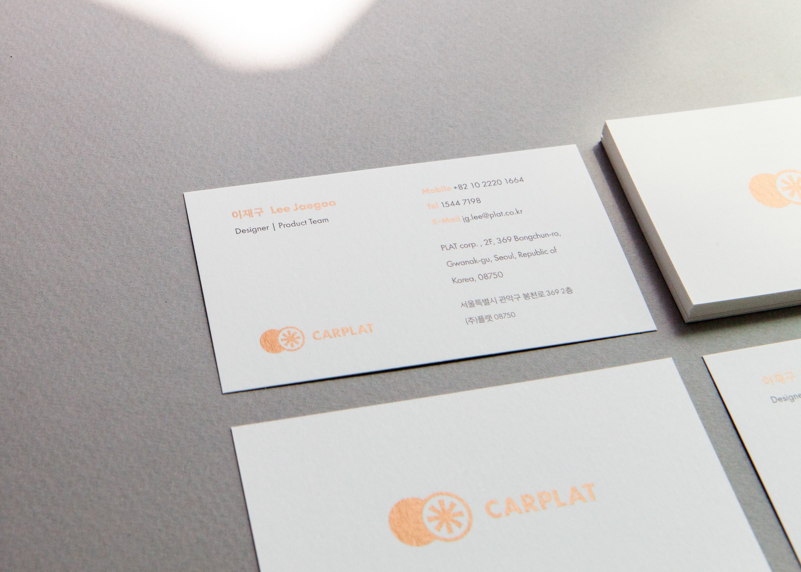 CARPLAT — Visual Identity System