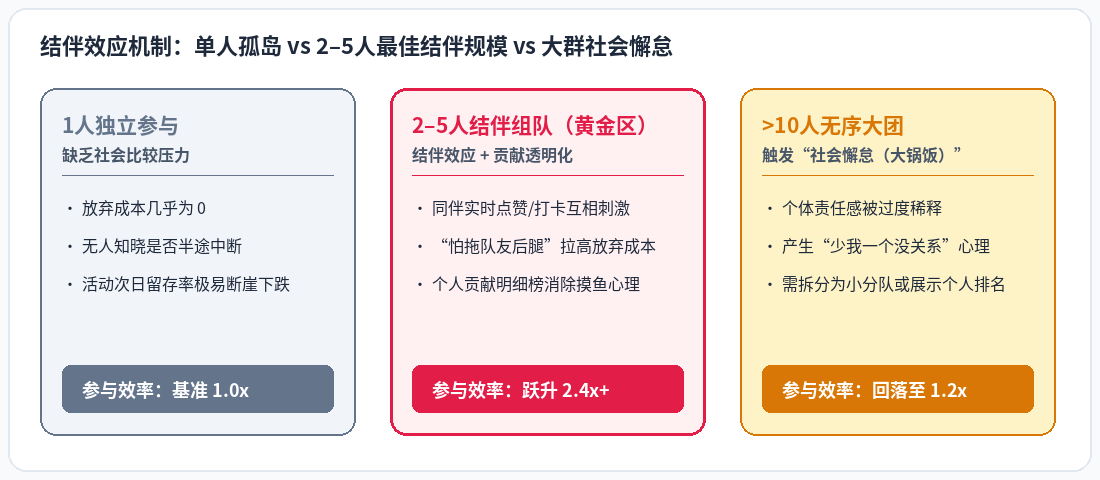 结伴效应机制对比:单人独立参与 vs 2–5人最佳结伴规模 vs 大群社会懈怠